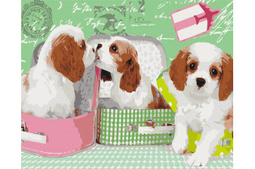 Mal efter tal - Cute puppies in suitcases - dyr