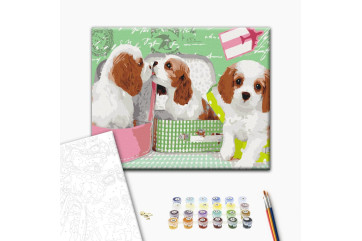 Mal efter tal - Cute puppies in suitcases