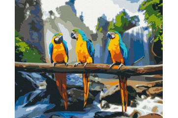 Mal efter tal - Tropical macaw - dyr