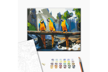 Mal efter tal - Tropical macaw
