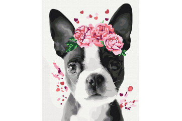 Mal efter tal - Boston terrier in a crown - dyr