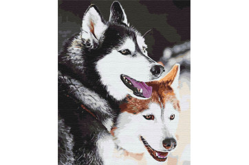Mal efter tal - Husky - dyr