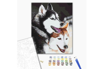 Mal efter tal - Husky
