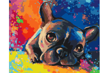 Mal efter tal - Colored bulldog - dyr