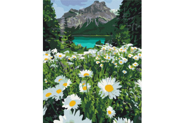 Mal efter tal - Daisies by the mountains - landskaber