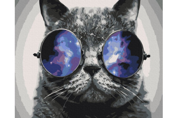 Mal efter tal - Kitty in Miami - dyr