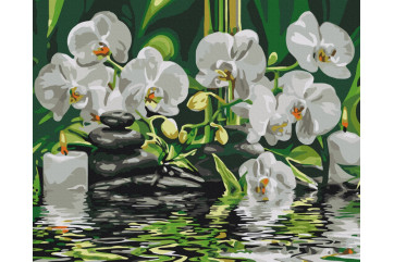 Mal efter tal - Calm near orchids - blomster