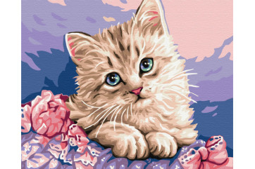 Mal efter tal - Blue-eyed kitten - dyr