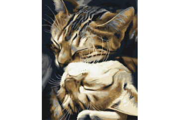 Mal efter tal - Sleeping cats - dyr