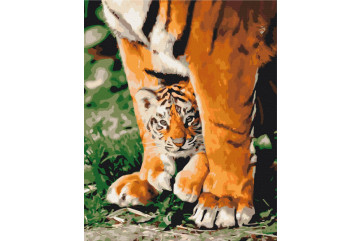 Mal efter tal - Tiger cub in mighty paws - dyr