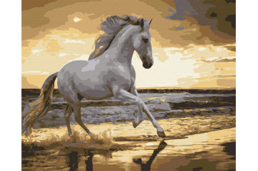 Mal efter tal - Trotting on the coast - dyr