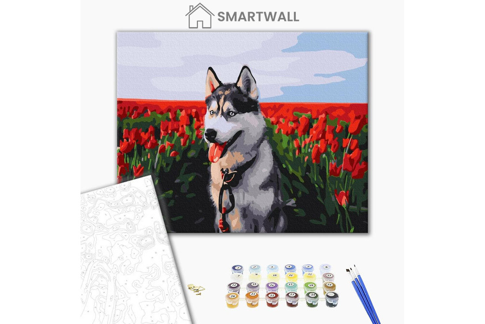 Mal efter tal - Husky in a tulip field