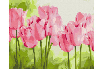 Mal efter tal - Delicate tulips - blomster