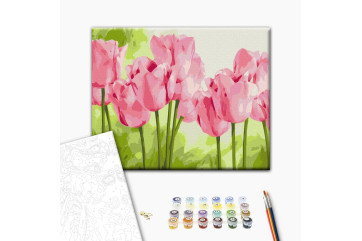 Mal efter tal - Delicate tulips