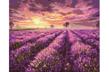 Mal efter tal - Lavender sunset - landskaber