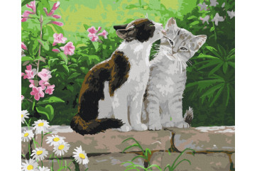 Mal efter tal - Couple of kittens - dyr