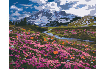 Mal efter tal - Alpine meadow - landskaber