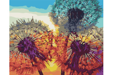 Mal efter tal - Dandelions at sunset - blomster