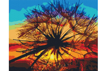 Mal efter tal - Dandelion at summer sunset - blomster