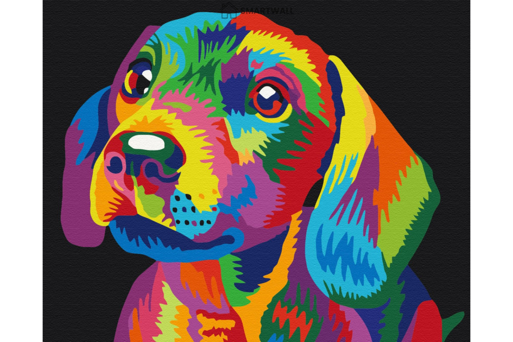 Mal efter tal - Rainbow dog - dyr