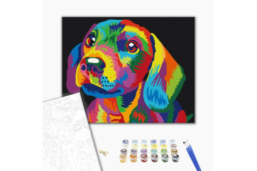  popart
