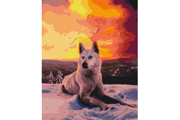 Mal efter tal - Arctic wolf - dyr