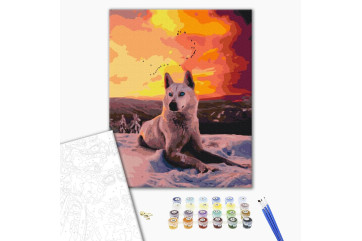 Mal efter tal - Arctic wolf