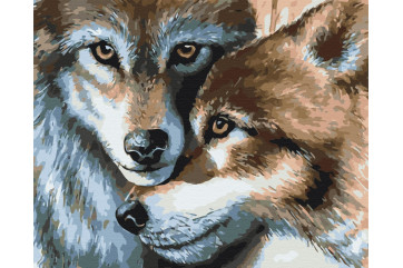 Mal efter tal - Wolf couple - dyr