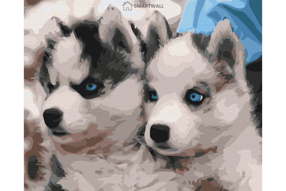 Mal efter tal - Husky puppies - dyr