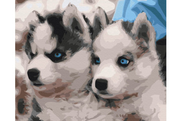 Mal efter tal - Husky puppies - dyr
