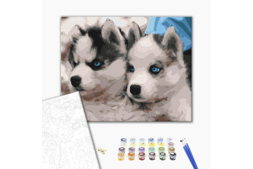 Mal efter tal - Husky puppies