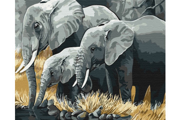 Mal efter tal - Elephant family - dyr