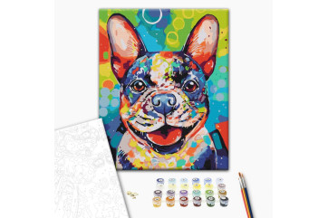  popart