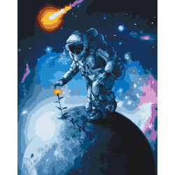 Mal efter tal - Flowers of the Universe - rummet