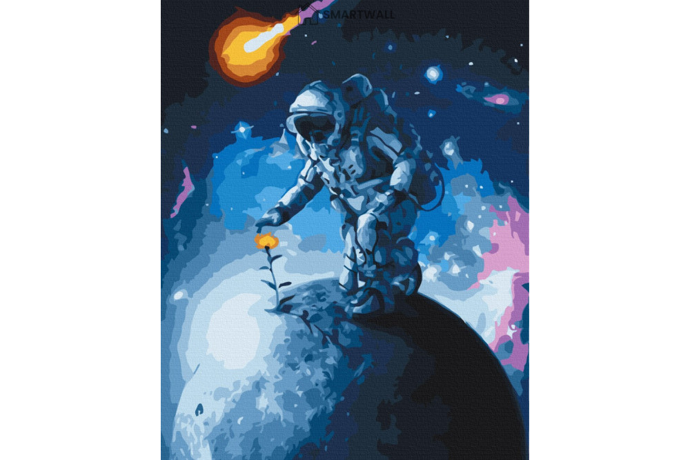 Mal efter tal - Flowers of the Universe - rummet