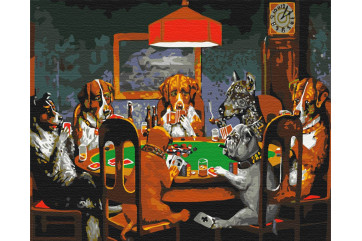 Mal efter tal - Poker - diverse
