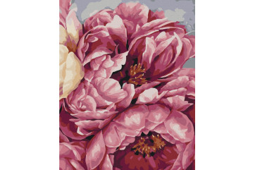 Mal efter tal - Flowering peonies - blomster