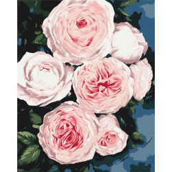Mal efter tal - Buds of lush roses - blomster