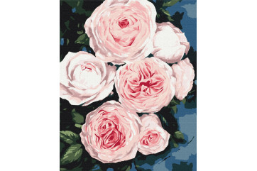 Mal efter tal - Buds of lush roses - blomster