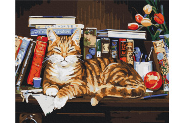 Mal efter tal - Cat on the bookshelf - dyr