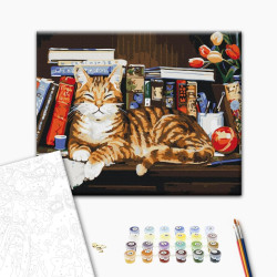 Mal efter tal - Cat on the bookshelf
