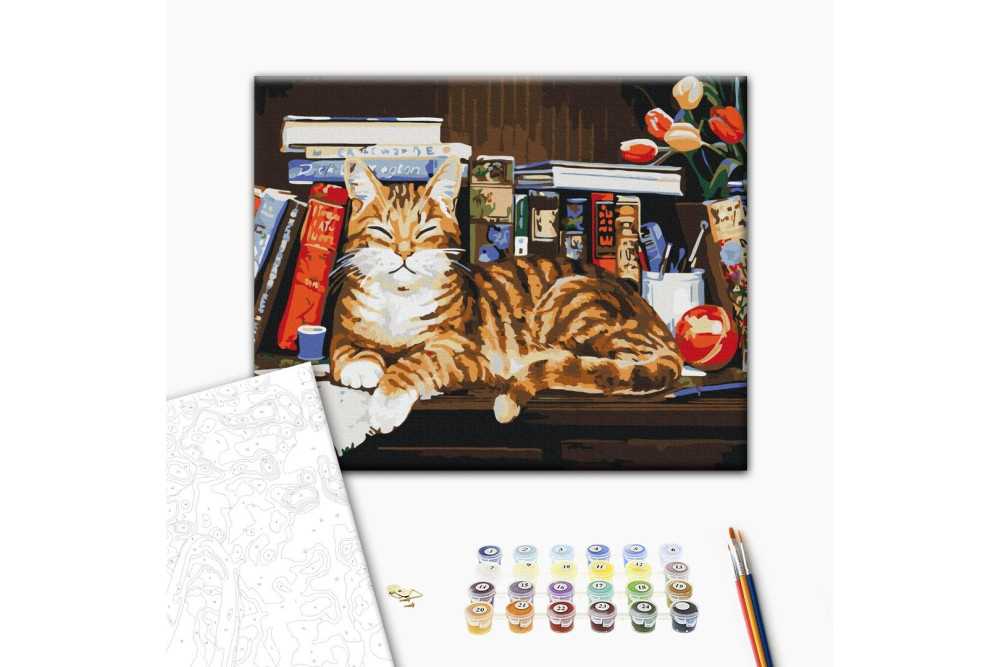 Mal efter tal - Cat on the bookshelf