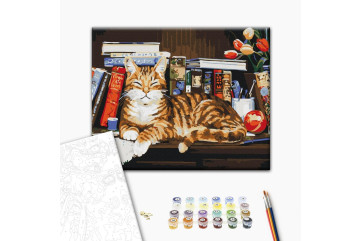 Mal efter tal - Cat on the bookshelf