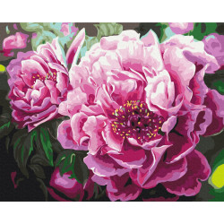 Mal efter tal - Luxurious peonies - blomster