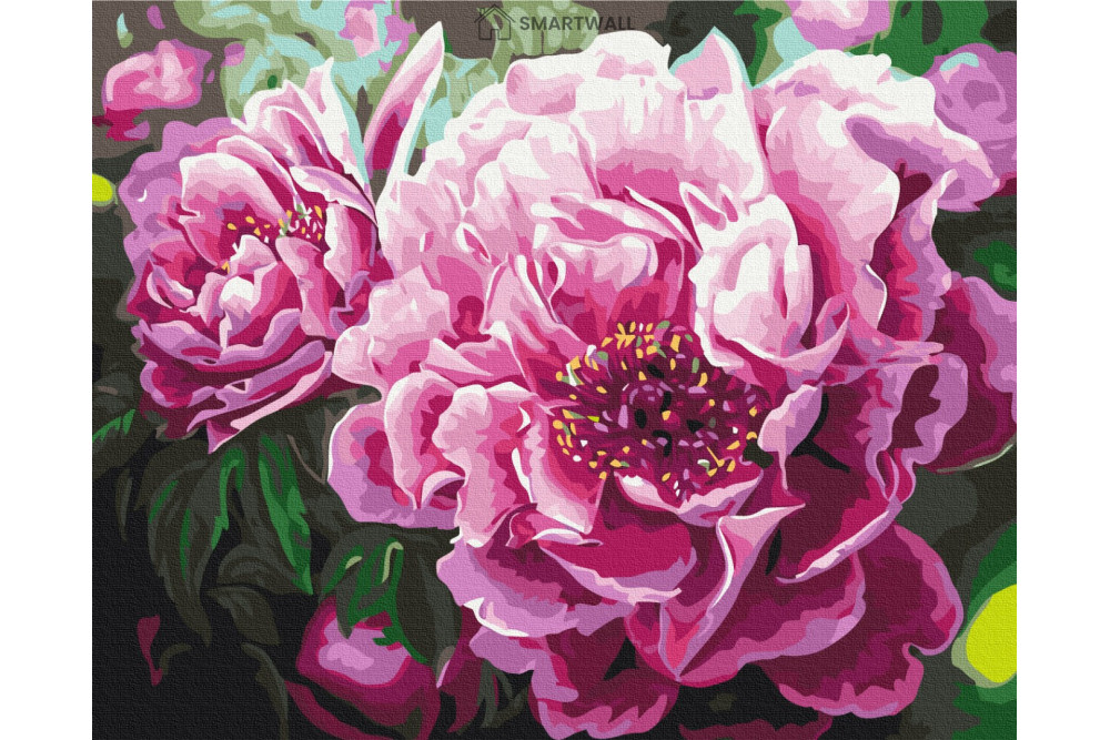 Mal efter tal - Luxurious peonies - blomster