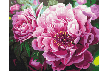 Mal efter tal - Luxurious peonies - blomster