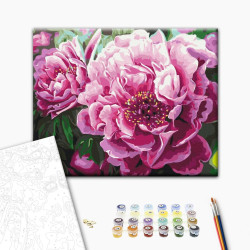 Mal efter tal - Luxurious peonies