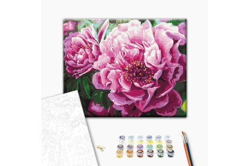 Mal efter tal - Luxurious peonies