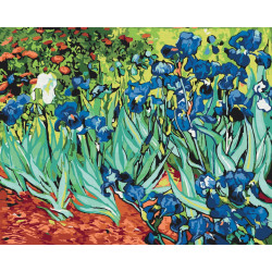 Mal efter tal - Irises. Van Gogh - diverse