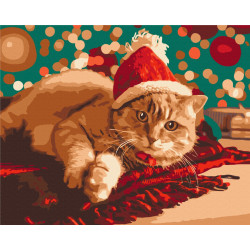 Mal efter tal - Santa cat - dyr